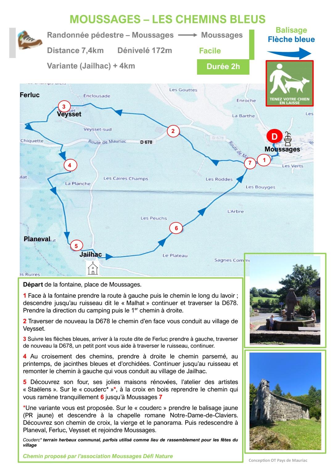 Moussages les chemins bleus 250306 102805